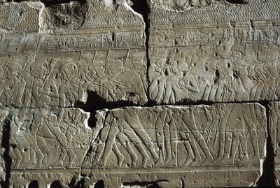  بواسطة الأسرة المصرية التاسعة عشرة