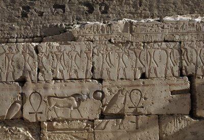 نقش، معبد رمسيس الثاني، أبيدوس، مصر، الحضارة المصرية، الدولة الحديثة، الأسرة التاسعة عشرة (صورة) بواسطة الأسرة المصرية التاسعة عشرة