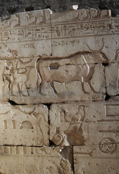 نقش، معبد رمسيس الثاني، أبيدوس، مصر، الحضارة المصرية، الدولة الحديثة، الأسرة التاسعة عشرة (صورة) بواسطة الأسرة المصرية التاسعة عشرة