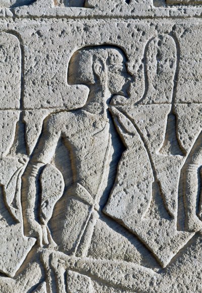  بواسطة الأسرة المصرية التاسعة عشرة