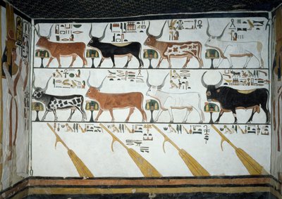 سبع أبقار سماوية ، زوج ثور وأربعة مجاديف ، الفصل 148 من كتاب الموتى ، تفاصيل من اللوحات الجدارية في الغرفة الثانية بمقبرة نفرتاري ، وادي الملكات ، الأقصر ، طيبة. الحضارة المصرية ، المملكة الحديثة ، الأسرة التاسعة عشر. بواسطة الأسرة المصرية التاسعة عشرة