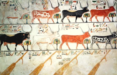 الأبقار السماوية السبعة والثور المقدس ودفات السماء الأربعة ، من مقبرة نفرتاري ، المملكة الحديثة (رسم جداري) بواسطة الأسرة المصرية التاسعة عشرة