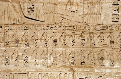 الآثار المصرية: تفاصيل نقوش الصرح الأول الذي يمثل شعارات المدن التي احتلها الفرعون رمسيس الثالث. المعبد الجنائزي لرمسيس الثالث (1187-1156 قبل الميلاد). الأقصر ، مدينة حبو ، مصر بواسطة الأسرة المصرية العشرون
