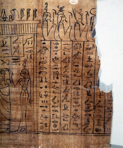 كتاب الموتى: هيروغليفية مصرية على بردية من الأسرة الثانية والعشرين. التفاصيل. القرن التاسع قبل الميلاد. تورينو ، المتحف المصري. بواسطة الأسرة المصرية الثانية والعشرون