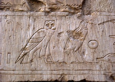 الآثار المصرية: نقش يمثل بومة ونسر. مقبرة عنخ حور (عنخ حور) (TT414) (الأسرة السادسة والعشرون ، 672-525 قبل الميلاد) ، الأقصر (طيبة) ، مصر بواسطة الأسرة المصرية السادسة والعشرون