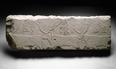 جزء من نقش بقرات الملك خوفوس ، 2535 ج (الحجر الجيري) بواسطة الأسرة الرابعة المصرية