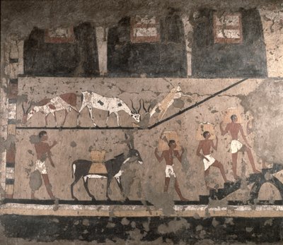 المشهد الزراعي ، تمت إزالة لوحة جدارية من مصطبة تي في سقارة ، المملكة القديمة ، c.2494-2345 قبل الميلاد (الحجر الجيري المطلي) بواسطة الأسرة الخامسة المصرية