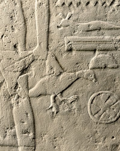 تفاصيل إغاثة بهينوكا ، المملكة القديمة ، 2465-2323 قبل الميلاد (الحجر الجيري) (انظر أيضًا 440560 ، 440566 ، 440559 و 440564) بواسطة الأسرة الخامسة المصرية