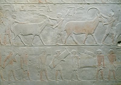 الخدم الذين يقودون المها والظباء وغيرهم ممن يحملون أمتعة من مصطبة أخثتب ، سقارة ، المملكة القديمة ، 2400 ق.م. (الحجر الجيري المطلي) بواسطة الأسرة الخامسة المصرية