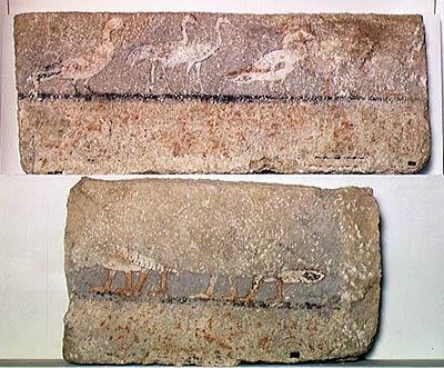 لوحة جدارية تصور الطيور ، المملكة القديمة (الكالسيت المطلي) بواسطة الأسرة الخامسة المصرية