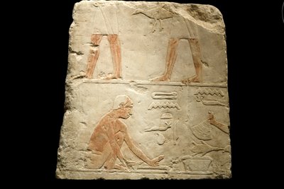 جزء من نقش يصور إعداد الطعام (الحجر الجيري) بواسطة الأسرة المصرية السادسة