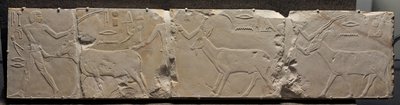 إغاثة الرجال الذين يجلبون حيوانات الصحراء ، c.2311-2281 قبل الميلاد بواسطة الأسرة المصرية السادسة