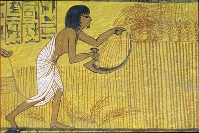 مصر القديمة، اللوحة الجدارية، مقبرة سنيدجم، مقبرة النبلاء، طيبة، دير المدينة بواسطة مصري مصري