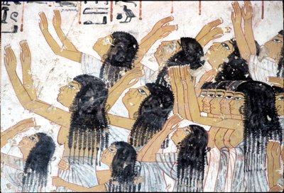  بواسطة مصري مصري