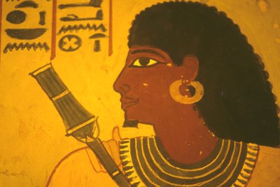 مصر القديمة، لوحة جدارية/جدارية/جصية، مقبرة سنوفر، طيبة/الأقصر، سنوفر يحمل صولجان، عمدة طيبة، المشرف في عهد أمينوفيس الثاني بواسطة مصري مصري