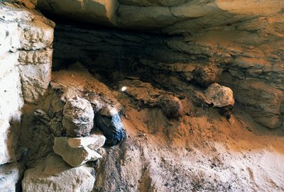 تفاصيل المقبرة رقم 49 ، وادي المومياوات الذهبية ، الواحات البحرية ، الجيزة ، مصر. الحضارة المصرية بواسطة مصري مصري