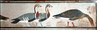 الأوز ، تفاصيل لوحة من مصطبة إيتيت ، زوجة نفرمات ، ميدوم (الحجر الجيري المطلي) بواسطة مصري مصري