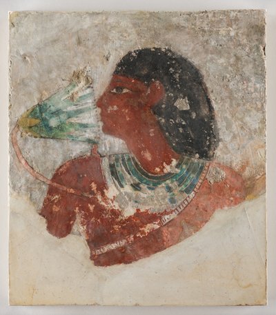  بواسطة مصري مصري