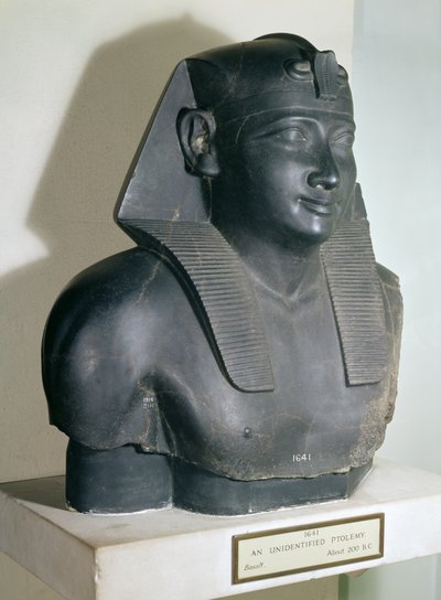 جزء من تمثال على الطراز المصري لبطليموس الأول ، 305-283 قبل الميلاد (بازلت) بواسطة Egyptian Ptolemaic Period