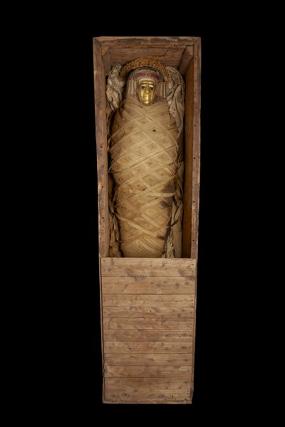 مومياء في تابوت من حوارة بواسطة Egyptian Ptolemaic Period