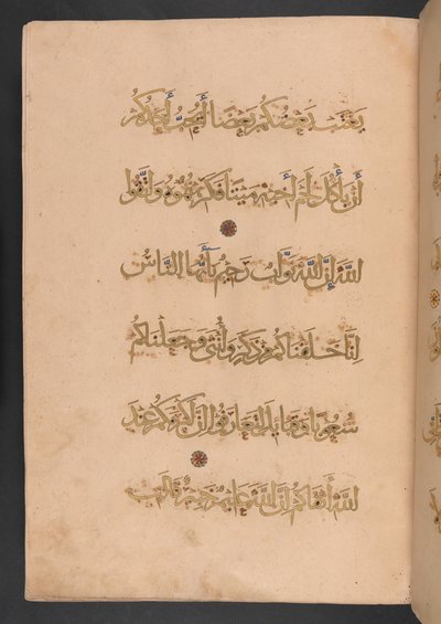  بواسطة المدرسة المصرية
