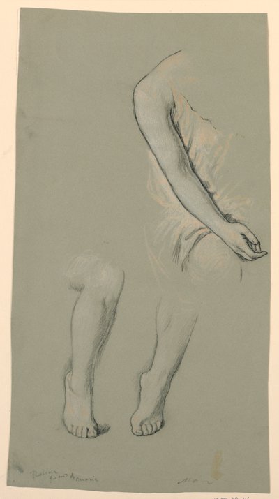 رسم، تفاصيل الشكل، 1885 تقريباً بواسطة اليهو فيدر