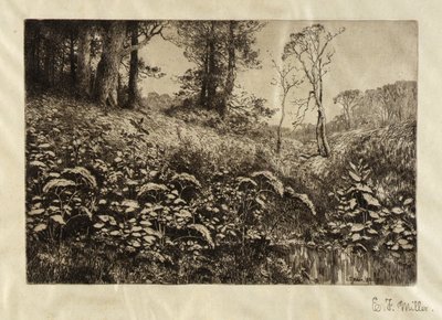 ظهيرة صيفية بواسطة إليس إف ميلر