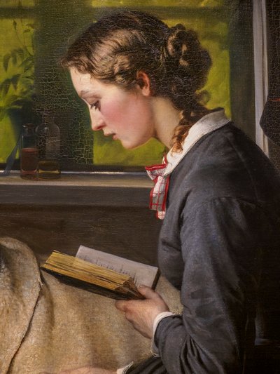 جندي دنماركي جريح، التفاصيل بواسطة إليزابيث ماريا آنا جيريشاو بومان