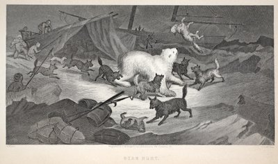 Bear Hunt ، توضيح من "رحلة غرينيل الثانية في البحث عن السير جون فرانكلين ..." ، 1856 بواسطة إليشا كينت كين