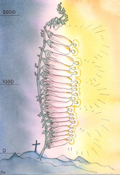 تضع الكنيسة براعم القداسة الحية لتزهر في كل عصر ، 2003 (w - c على الورق) بواسطة إليزابيث وانج