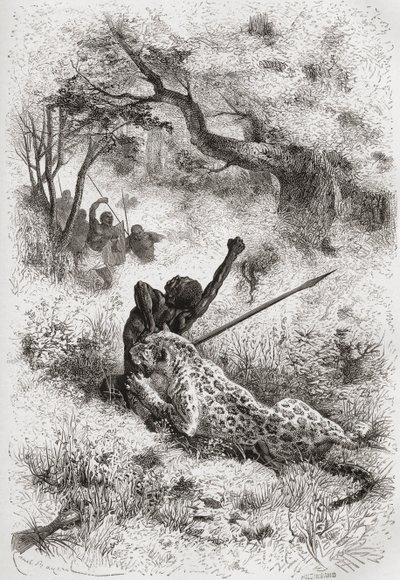نمر يهاجم الأفريقي ، رسم توضيحي من "العالم في الأيادي" ، نقش بواسطة هنري ثيوفيل هيلديبراند (1824-1897) ، نشر عام 1878 بواسطة إميل أنطوان بايارد