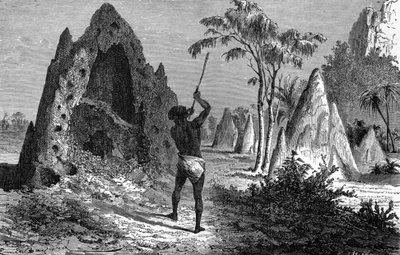 قرية النمل الأبيض الحربي (termitiere)، أفريقيا. نقش 1897 بواسطة إميل أنطوان بايارد