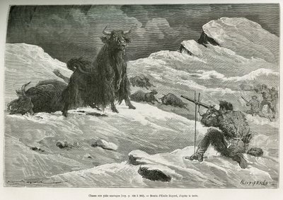 مشهد صيد الياك البري ، رسمه إميل بايارد لتوضيح الرحلة إلى منغوليا وأرض تانغوت من عام 1870 إلى عام 1873 ، بواسطة المقدم برزيوالسكي. نقش في Le Tour du monde بواسطة إميل أنطوان بايارد