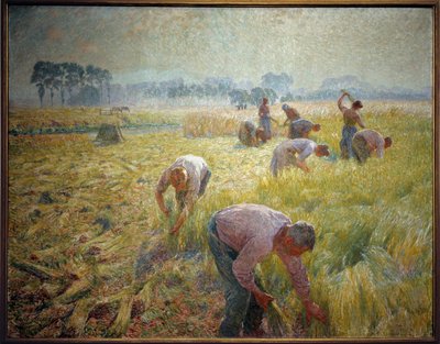 لا كولولت دو كتان لوحة بواسطة إميل كلوز (1849-1924) 1904 صن. 1،56 X 2،01 م بروكسل ، المتحف الملكي للفنون الجميلة بواسطة اميل كلوز