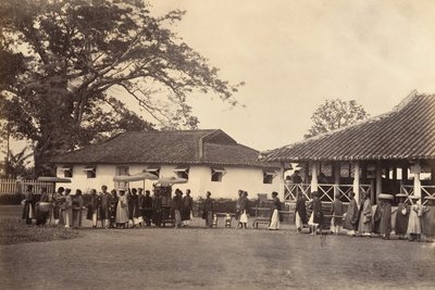 موكب الزفاف ، كوشين الصين ، 1866. بواسطة إميل جسيل