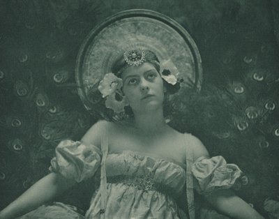 السيكادا 1899. بواسطة Emma Justine Farnsworth