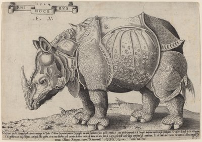وحيد القرن بواسطة Enea Vico بعد Albrecht Dürer