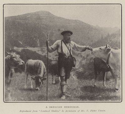 A Brescian Herdsman بواسطة مصور انجليزى