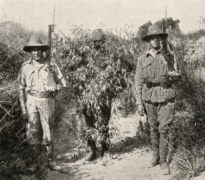 قناص تركي ، متنكرا في شكل شجيرة ، في الحجز بعد أن تم القبض عليه من قبل قوات ANZAC ، من "الحرب العظمى: تاريخ" ، المجلد الثالث ، 1916 بواسطة مصور انجليزى