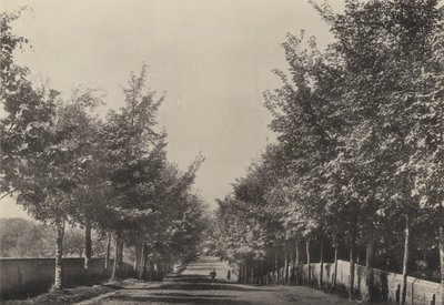 Aldeburgh ، Westfields Avenue (b / w photo) بواسطة مصور انجليزى