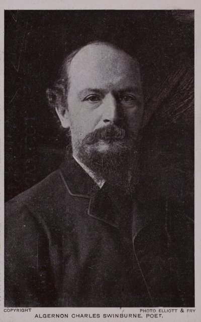 ألجرنون تشارلز سوينبرن (1837-1909) ، شاعر إنجليزي وكاتب مسرحي بواسطة مصور انجليزى