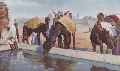  بواسطة مصور انجليزى