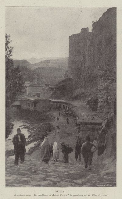 بيتليس بواسطة مصور انجليزى