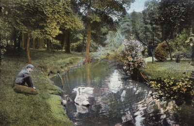 بوكستون ، The Serpentine Walk بواسطة مصور انجليزى
