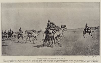 فيلق الجمال بوادي حلفه بصعيد مصر بواسطة مصور انجليزى