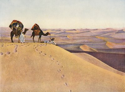 الإبل في الصحراء الكبرى (صورة ملونة) بواسطة مصور انجليزى