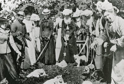 عرض القط في الحدائق النباتية الملكية ، وستمنستر ، في عام 1900 بواسطة مصور انجليزى