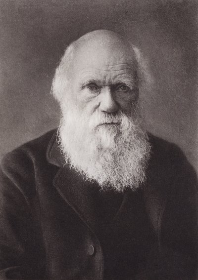 Charles Darwin, portrait, c 1880 (b/w photo) بواسطة مصور انجليزى