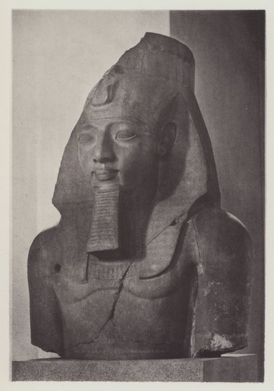 بواسطة مصور انجليزى