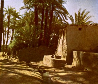 مصر - الكرنك بواسطة مصور انجليزى